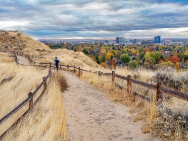 Uzun ağaç Boise ufuk çizgisi ve ayak izi