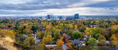 Boise Idaho, sonbaharda ağaçların şehri.