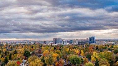 Ağaçlar şehri Boise Idaho tam bir sonbahar çiçeği