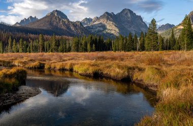 Deresi olan güzel bir dağ çayırı 