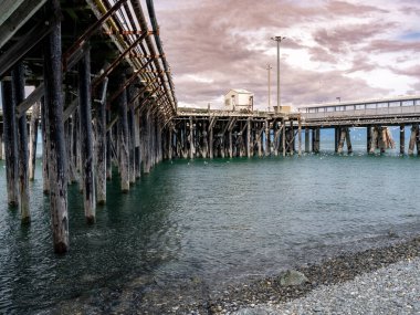 Homer Alaska 'da iskele ve okyanus