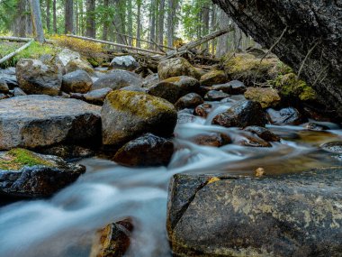 Güzel küçük dere taşlarla dolu