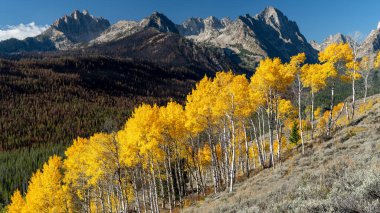 Idaho 'nun vahşi doğasında güzel bir sonbahar sahnesi