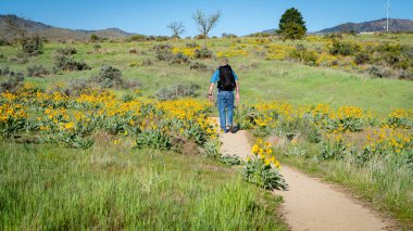 Sırt çantalı bir adam kır çiçeklerinde yürüyor.
