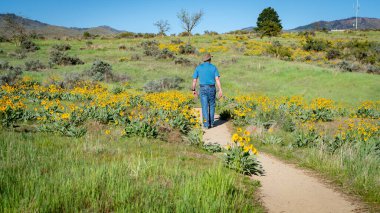 Sarı çiçeklerin arasında yürür insan