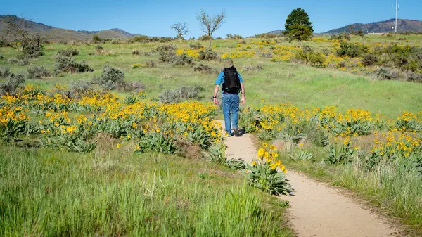 Sırt çantalı bir adam kır çiçeklerinde yürüyor.