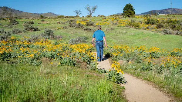 Sarı çiçeklerin arasında yürür insan