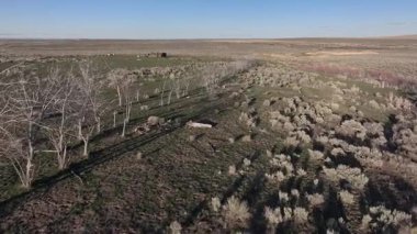 Idaho çölünde Wickahoney taş durağı.