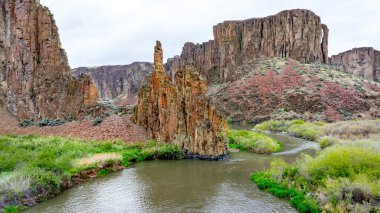 Idaho 'daki Owyhee Nehri kanyonu.