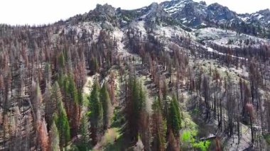 Orman yangını bölgeleri bir dağ sırtına çıkıyor.