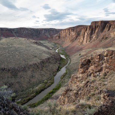 Idaho vahşi doğası Owyhee Nehri 