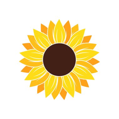 Vektör sarı ayçiçeği. Beyaz arkaplanda izole edilmiş ayçiçeği siluet metin çerçevesi