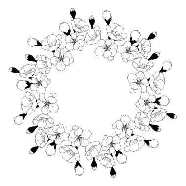 Spring wreath of cherry blossoms. Round frame with space for text. Template for postcard, invitation card, banner. Vector illustration on transparent background