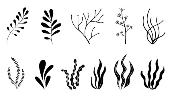 Набір Значків Водоростей Морські Рослини Ізольовані Білому Тлі Векторні Ілюстрації — стоковий вектор