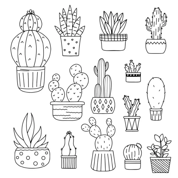 Conjunto Suculentas Lindas Cactus Kawaii Ilustración Estilo Garabato Blanco Negro — Archivo Imágenes Vectoriales