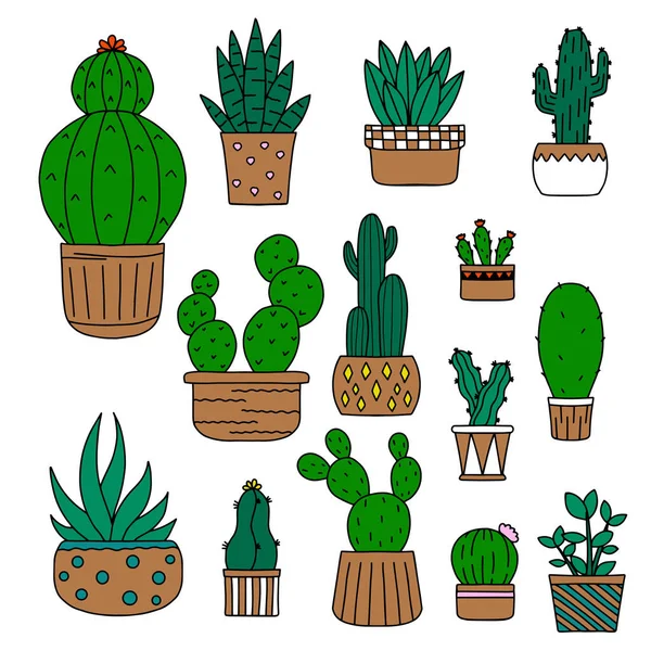 Conjunto Suculentas Lindas Cactus Kawaii Ilustración Estilo Doodle Vector — Archivo Imágenes Vectoriales