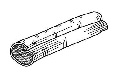 Tarçınlı çubuk elle çizilmiş. Yemek pişirme ve aromaterapi malzemesi. Vektör illüstrasyonu beyaz arkaplanda izole edildi