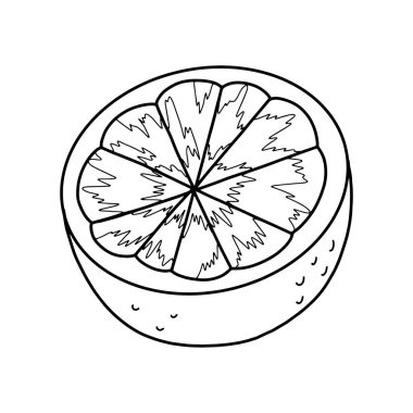 Yarım portakallı el çizimi. Portakallı meyve karalaması. Vektör illüstrasyonu beyaz arkaplanda izole edildi