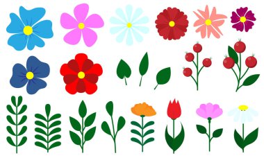 Minimalist bahar çiçekleri seti. Çizgi film basit çiçekler, yapraklar, brunch 'lar, bitkiler, böğürtlenler. Vektör illüstrasyonu