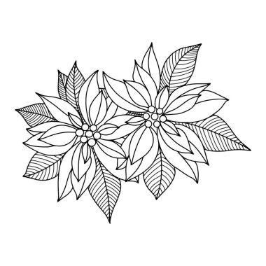 Noel çiçekleri elle çizilmiş. Tebrik kartı, davetiye ya da bayram afişi için tasarım ögesi. Çerçeve biçiminde vektör illüstrasyonu şeffaf arkaplanda izole edildi