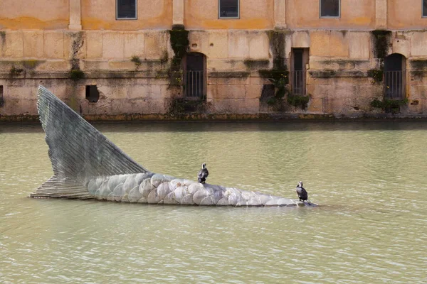 Мурсия Испания 2022 Памятник Погребению Сардины Посреди Реки Сегура Проходящей — стоковое фото