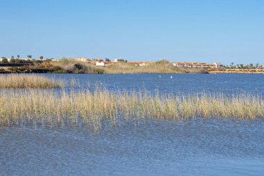 Güneşli bir günde San Pedro del Pinatar, Murcia 'da korunan kuş türleriyle güzel bir tuzlu su gölü.