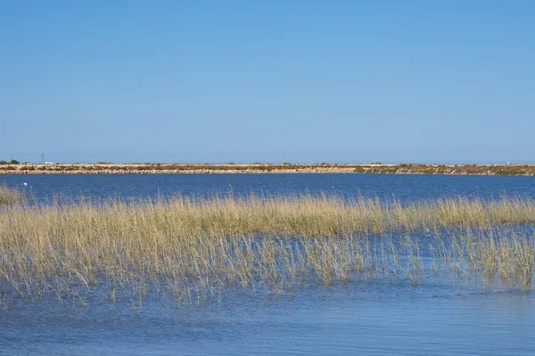 Piękna Laguna Słonowodna Chronionymi Gatunkami Ptaków San Pedro Del Pinatar — Zdjęcie stockowe
