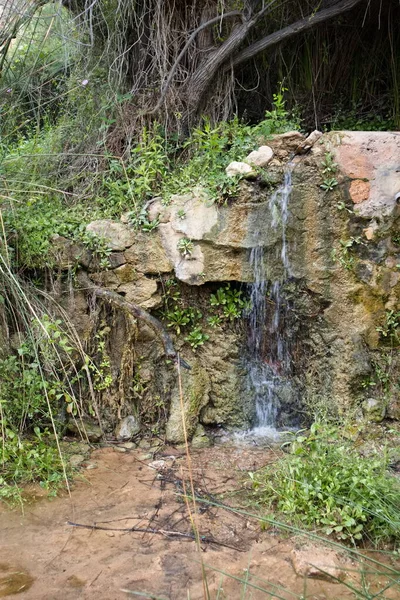 Mooie Rivierbedding Met Schoon Transparant Water Een Boomgaard — Stockfoto