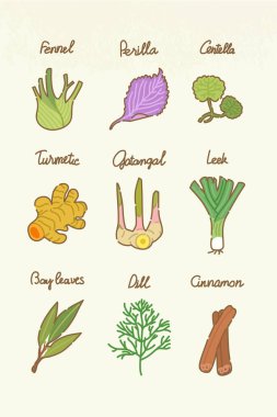 Sebzelerin izole edilmiş renk çizimleri _ 05