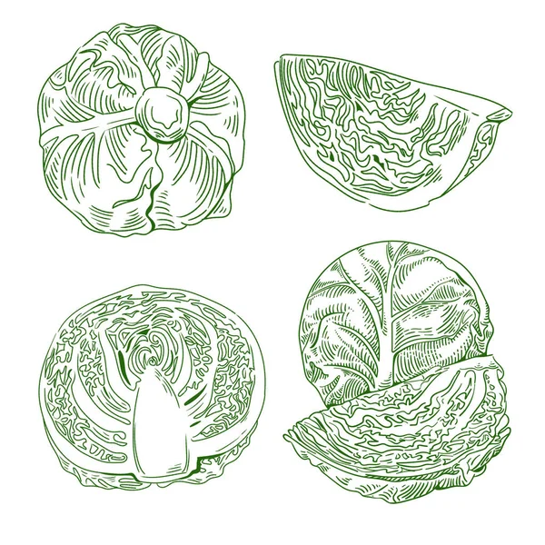 Hand Drawn Vintage Cabbage Engraved Pack — Stock Vector