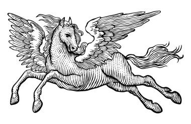 horse horse, vintage engraving. clipart