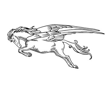 vektör el çizimi at çizimi