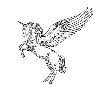 Kanatlı tek boynuzlu at. Vektör çizimi. beyaz arkaplanda izole.