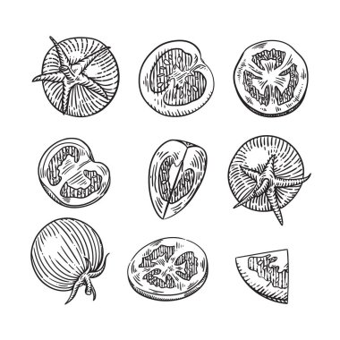 çeşitli fındık ve tohumların toplanması