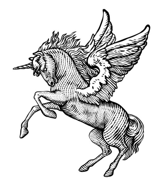 vector hand drawn sketch of flying horse with wings