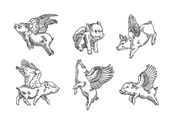Kanatlı domuz yavrusu. El çizimi stili çizimler.
