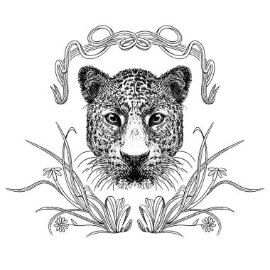 Elle çizilmiş aslan ve çiçekler.