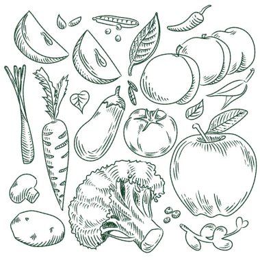 El çizimi sebze ve meyve vektörü.
