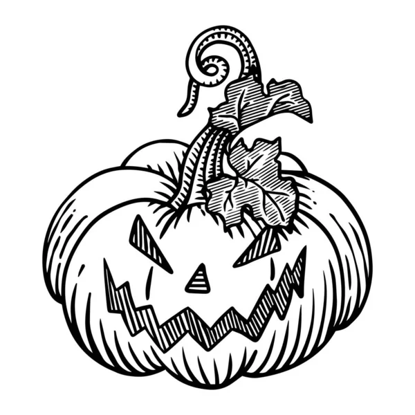 Abóbora Halloween Com Crânio Bruxa — Vetor de Stock