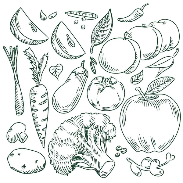 Çizimi Sebze Meyve Vektörü — Stok Vektör