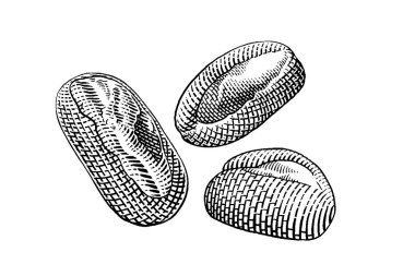 Elle çizilmiş vektör çizimi taze ekmek, fırın, ekmek.