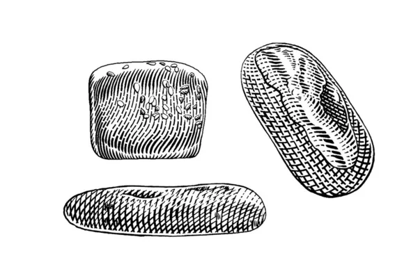 Elle çizilmiş vektör çizimi taze ekmek, fırın, ekmek.