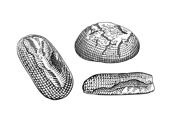Elle çizilmiş vektör çizimi taze ekmek, fırın, ekmek.