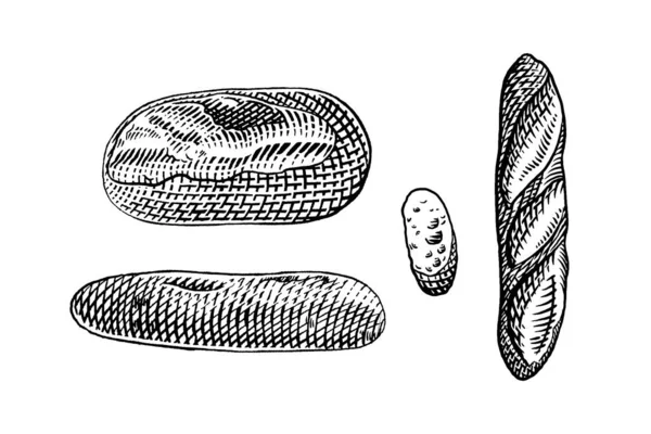 Hand Drawn Vector Illustration Bread — Stock Vector