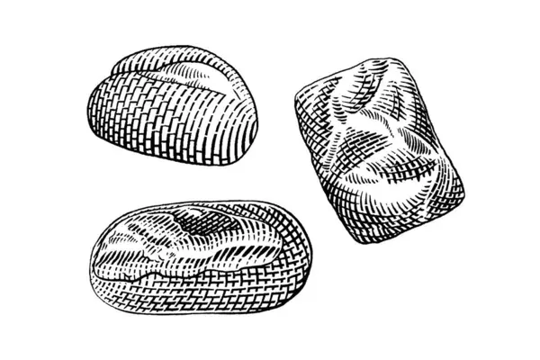 Ekmeğin el çizimi vektör çizimi