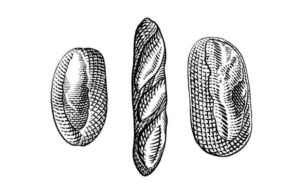 Elle çizilmiş ekmek ve fırın. vektör illüstrasyonu.