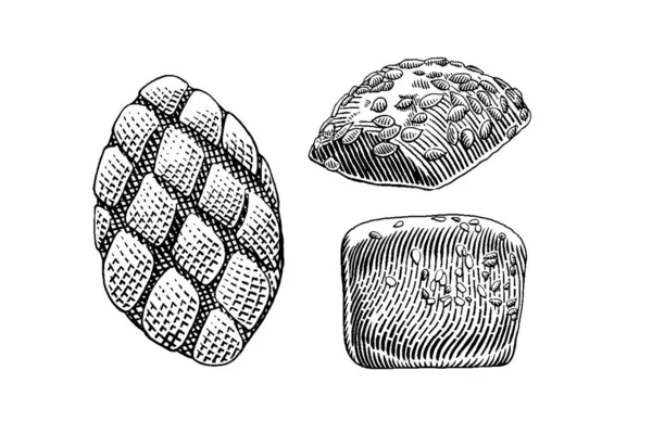 Hand Drawn Set Bread Bakery Vector Illustration — Stock Vector