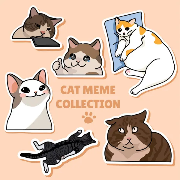 Koleksiyon kedisi mim etiketi illüstrasyon vektör tasarımı