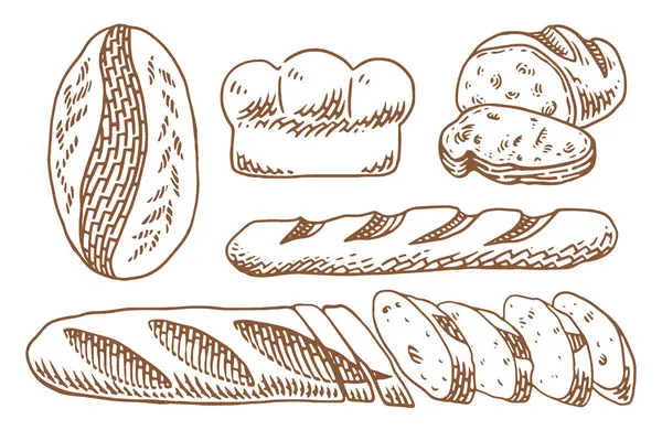 Bir sürü taze ekmeği olan fırın seti. Klasik el yapımı fırın elementleri seti.