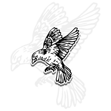 Siyah kanatlı uçan güvercinin vektör çizimi